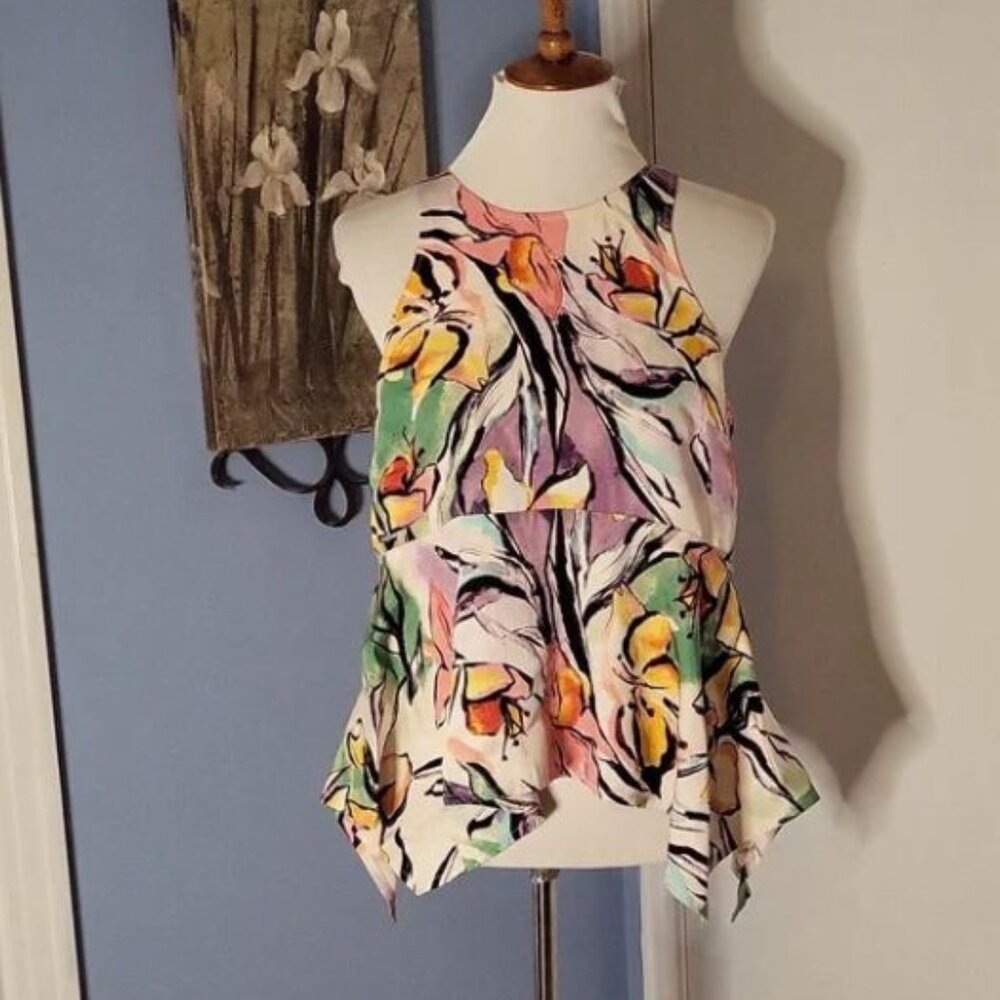 Anthropologie HD In Paris Peplum Top Sleeveless Floral Purple Yellow 8 Back Zip